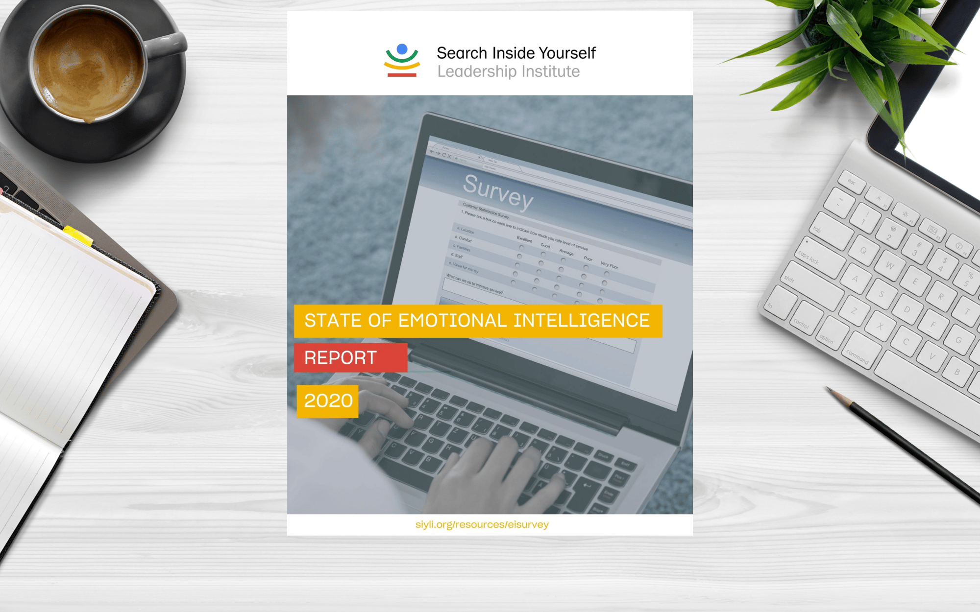 State-Of-Emotional-Intelligence
