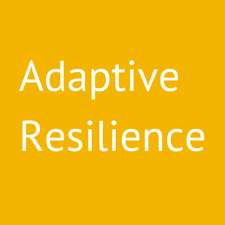 adaptive-resilience