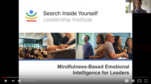 Webinar: What to expect at SIY’s emotional intelligence training