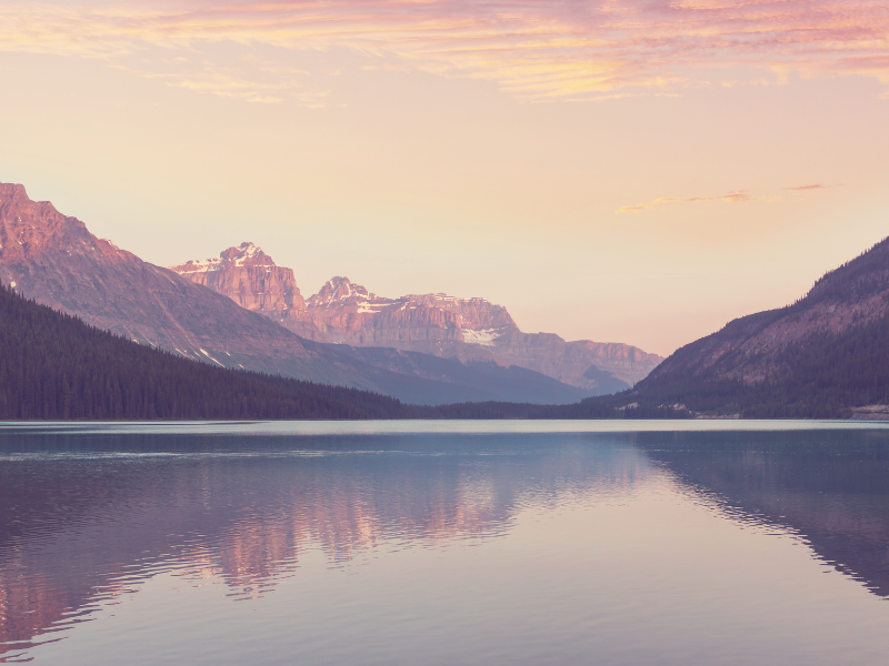 Guided Meditation: Finding Joy and Gratitude