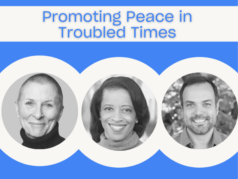 Promoting Peace in Troubled Times